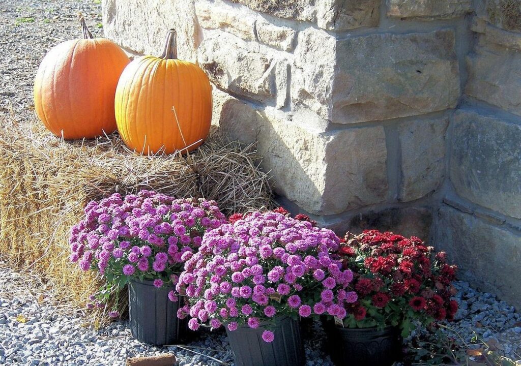 Trick-or-Treat Ready: Porch Safety and Fall Curb Appeal